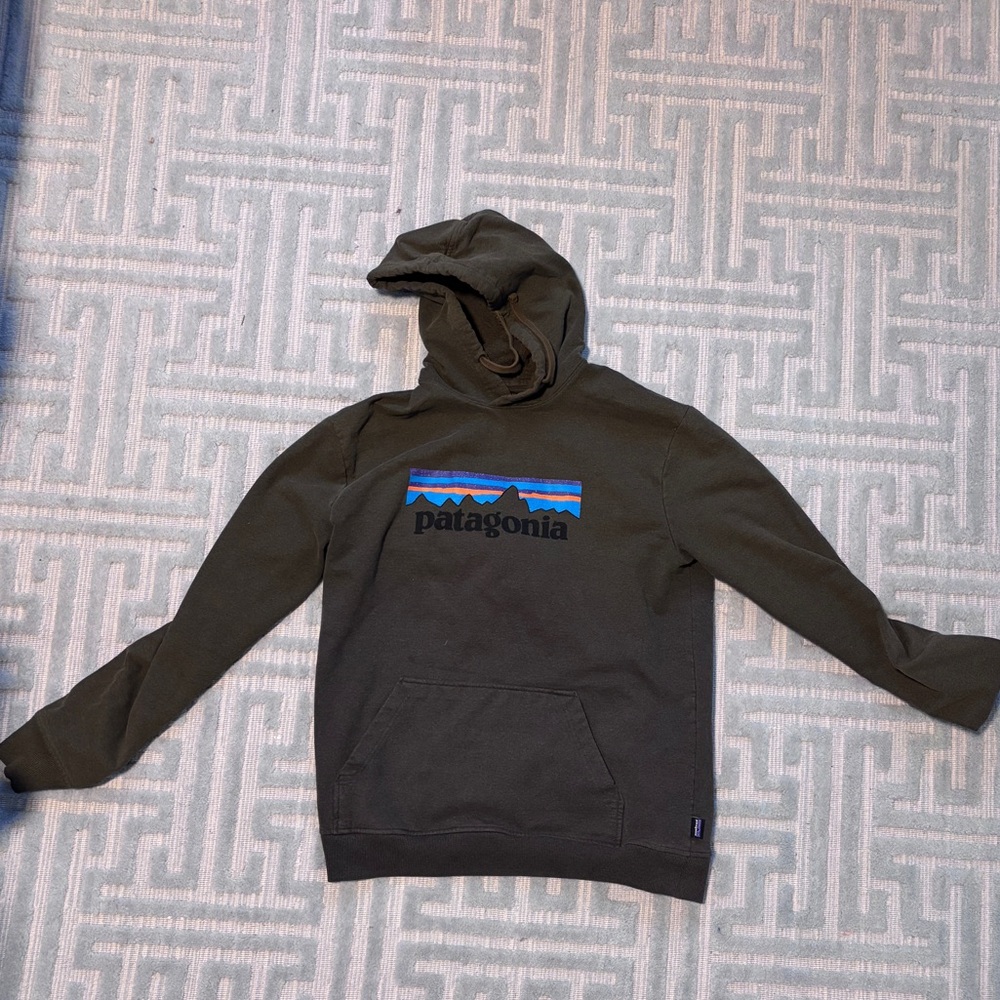 Patagonia Men's Green Hoodie
